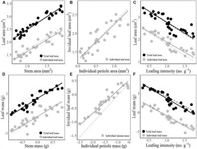 Frontiers  Allometric and Phylogenetic Aspects of Stapes