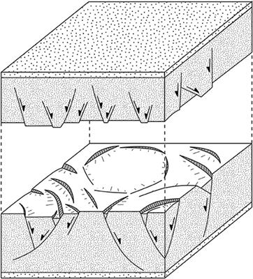 Kinematics Of Polygonal Fault Systems Observations From The Northern North Sea Kinematics Of Polygonal Fault Systems Observations From The Northern North Sea