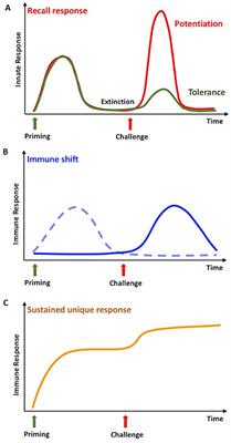 Frontiers Innate Immune Memory In Invertebrate Metazoans
