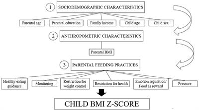 Frontiers Parents Matter Associations Of Parental Bmi And