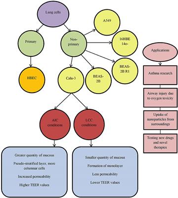 dissertation about motivation final exam