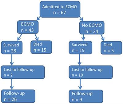 Biomedicus Cannula Flow Chart