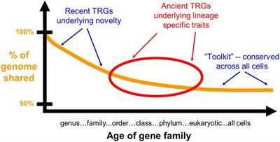 frontiers in genetics evolutionary and population genetics