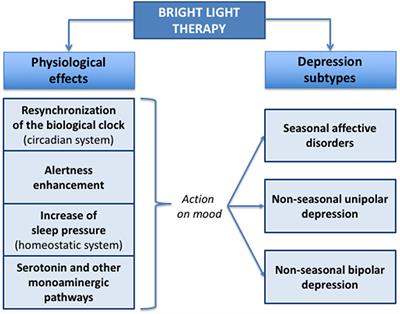 Sad Light Comparison Chart