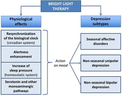 Frontiers  Safety and therapeutic effects of personalized