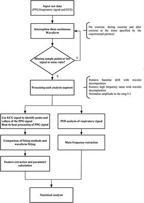 Frontiers  The utility of cardiopulmonary exercise testing in