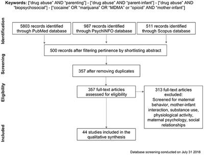 Another Study Implicates Maternal >> Frontiers The Influences Of Drug Abuse On Mother Infant Another Study Implicates Maternal >> Frontiers The Influences Of Drug Abuse On Mother Infant