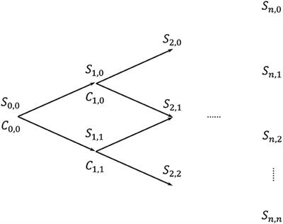 Frontiers Neural Network Models For Bitcoin Option Pricing