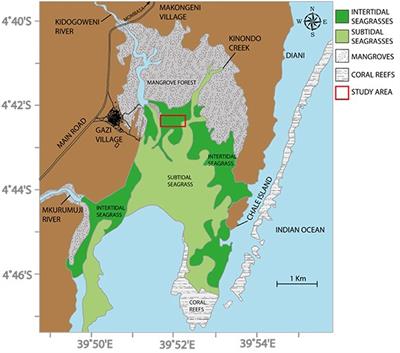 Seagrass Beds Appear On Navigational Charts In