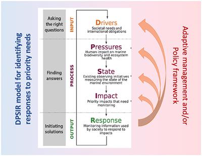 Whats The Purpose Of Balancing Or Monitoring Your Checking Account >> Frontiers Coral Reef Monitoring Reef Assessment Whats The Purpose Of Balancing Or Monitoring Your Checking Account >> Frontiers Coral Reef Monitoring Reef Assessment