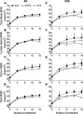 Frontiers  Sciatic–Vagal Nerve Stimulation by Electroacupuncture  Alleviates Inflammatory Arthritis in Lyme Disease-Susceptible C3H Mice