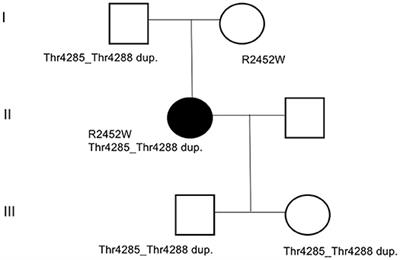 Frontiers Functional Electrical Stimulation A Possible