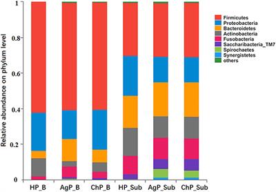 Frontiers  Case Report: Low-Level Maternal Mosaicism of a Novel CREBBP  Variant Causes Recurrent Rubinstein-Taybi Syndrome in Two Siblings of a  Chinese Family