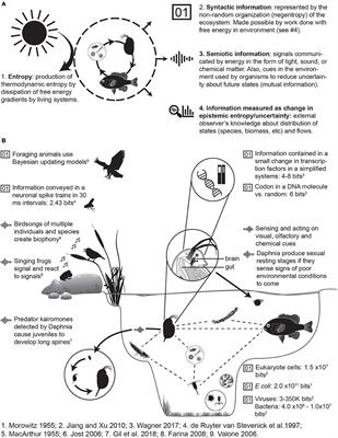 Frontiers Principles Of Ecology Revisited Integrating