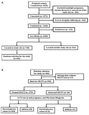 Frontiers In Nutrition Nutritional Epidemiology