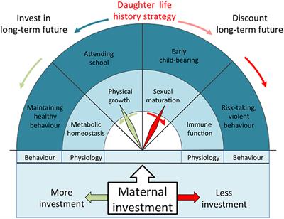 Frontiers In Public Health Epidemiology