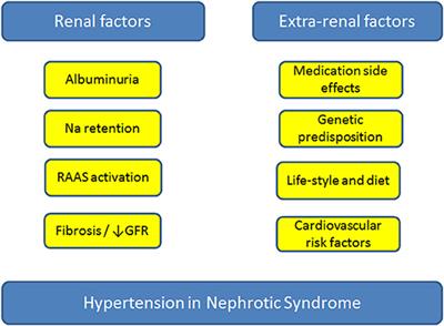 Nephrotic Diet Chart