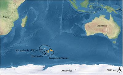 Frontiers  Piscine predation rates vary relative to habitat, but not  protected status, in an island chain with an established marine reserve