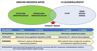 Nephrotic Vs Nephritic Chart