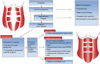 Frontiers  Case Report: 21 Cases of Umbilical Hernia Repair Using a  Laparoscopic Cephalic Approach Plus a Posterior Sheath and Extraperitoneal  Approach