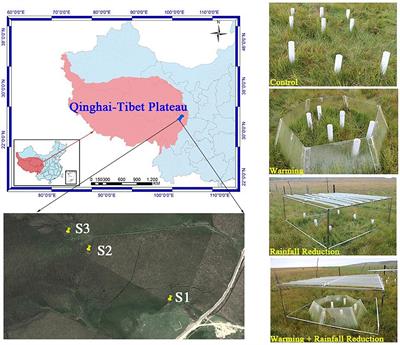 Frontiers  Meteorological Controls on Water Table Dynamics in Fen  Peatlands Depend on Management Regimes