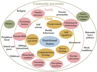 Child Parent Relationship List Of Frontiers Open Access Articles Child Parent Relationship List Of Frontiers Open Access Articles
