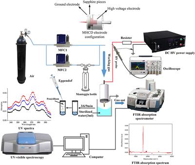 Frontiers | The Effect of Air-Water-Plasma-Jet-Activated Water on ...