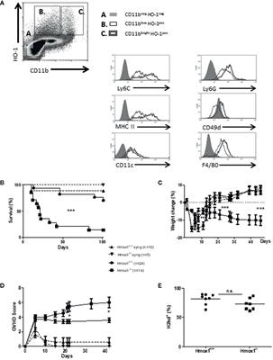 Frontiers  Randomized Controlled Study Evaluating Efficiency of Low  Intensity Transcranial Direct Current Stimulation (tDCS) for Dyspnea Relief  in Mechanically Ventilated COVID-19 Patients in ICU: The tDCS-DYSP-COVID  Protocol