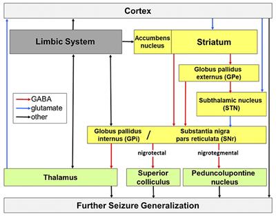 The Substantia Nigra List Of Frontiers Open Access Articles