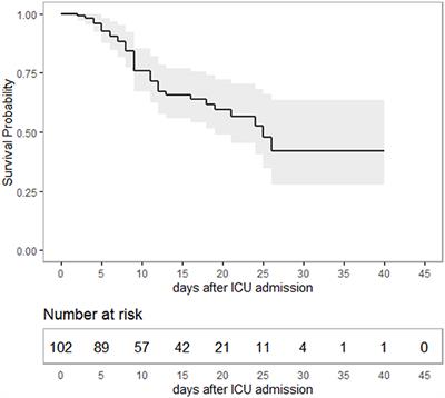 Frontiers  Randomized Controlled Study Evaluating Efficiency of Low  Intensity Transcranial Direct Current Stimulation (tDCS) for Dyspnea Relief  in Mechanically Ventilated COVID-19 Patients in ICU: The tDCS-DYSP-COVID  Protocol