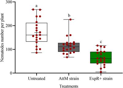 Frontiers  Belowground Chemical Interactions: An Insight Into  Host-Specific Behavior of Globodera spp. Hatched in Root Exudates From  Potato and Its Wild Relative, Solanum sisymbriifolium