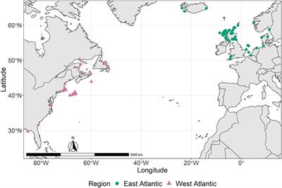 Frontiers  Classification of breed combinations for slaughter pigs based  on genotypes—modeling DNA samples of crossbreeds as fuzzy sets from  purebred founders