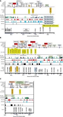 Frontiers  Multiple-Allele MHC Class II Epitope Engineering by a Molecular  Dynamics-Based Evolution Protocol