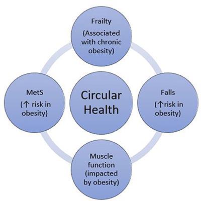 Frontiers  DXA-Derived Adiposity and Lean Indices for Management of  Cardiometabolic and Musculoskeletal Frailty: Data Interpretation Tricks and  Reporting Tips