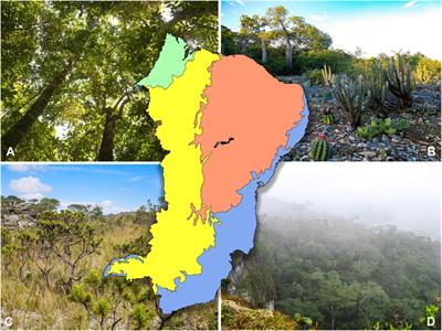 Frontiers Sustainability assessment of Cerrado and Caatinga