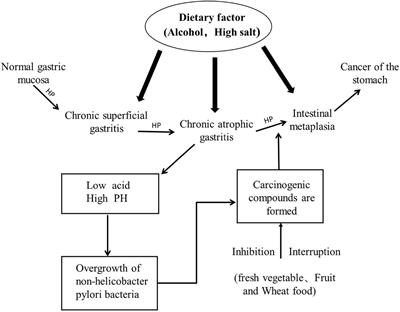 Frontiers  Probiotic properties of Bacillus subtilis DG101 isolated from  the traditional Japanese fermented food nattō