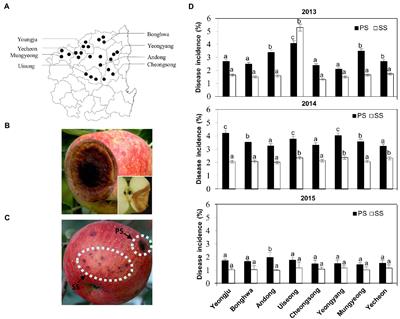 Frontiers  Belowground Chemical Interactions: An Insight Into  Host-Specific Behavior of Globodera spp. Hatched in Root Exudates From  Potato and Its Wild Relative, Solanum sisymbriifolium