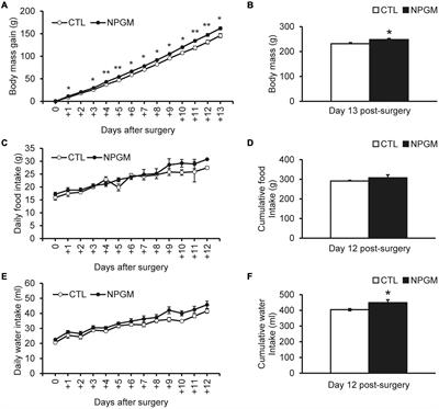 Frontiers  Exploring the application of Corynebacterium glutamicum single  cell protein in the diet of flathead grey mullet (Mugil cephalus): effects  on growth performance, digestive enzymes activity and gut microbiota