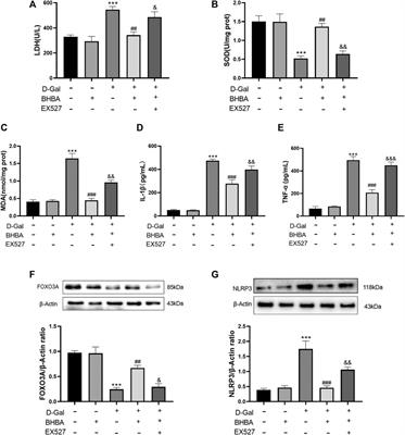 Uym28ubmfqi M Uym28ubmfqi M