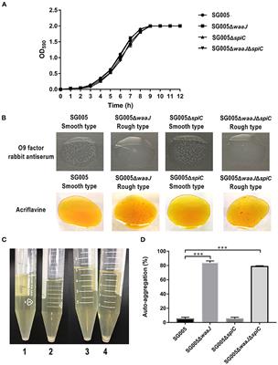 Frontiers  C500 variants conveying complete mucosal immunity