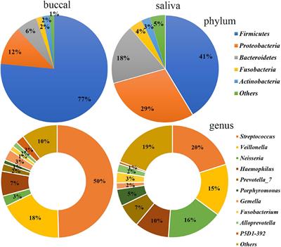 Frontiers  Case Report: Low-Level Maternal Mosaicism of a Novel CREBBP  Variant Causes Recurrent Rubinstein-Taybi Syndrome in Two Siblings of a  Chinese Family