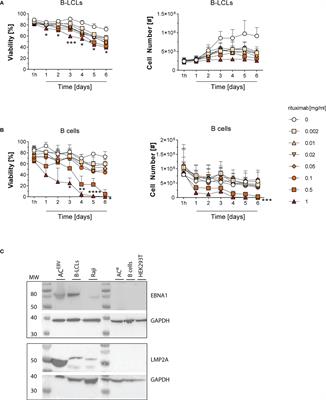 Frontiers  EBV Exploits RNA m6A Modification to Promote Cell Survival and  Progeny Virus Production During Lytic Cycle