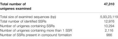 Frontiers  Cover Crops and Mechanical Scarification in the Yield and  Industrial Quality of Upland Rice