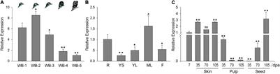 Frontiers  Identification of WRKY gene family members in amaranth based on  a transcriptome database and functional analysis of AtrWRKY42-2 in betalain  metabolism