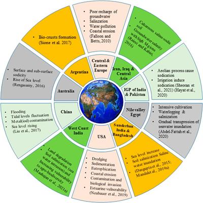 Frontiers Cover Crops and Mechanical Scarification in the Yield and Industrial Quality of Upland Rice