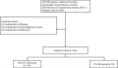 Frontiers  Association of Lipoprotein(a)-Associated Mortality and the  Estimated Glomerular Filtration Rate Level in Patients Undergoing Coronary  Angiography: A 51,500 Cohort Study