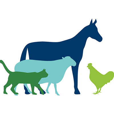 Logo of Frontiers in Veterinary Science, a Frontiers Open Access Scientific Academic Journal