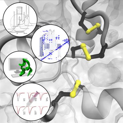Research Topic Research topic image