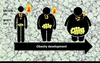 Research Topic Research topic image