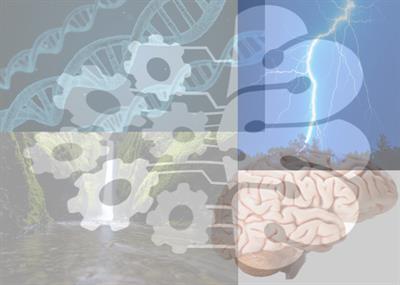 Research Topic Research topic image